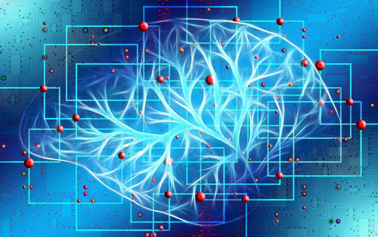 Фото - Человеческий мозг использует квантовые вычисления, подозревают учёные